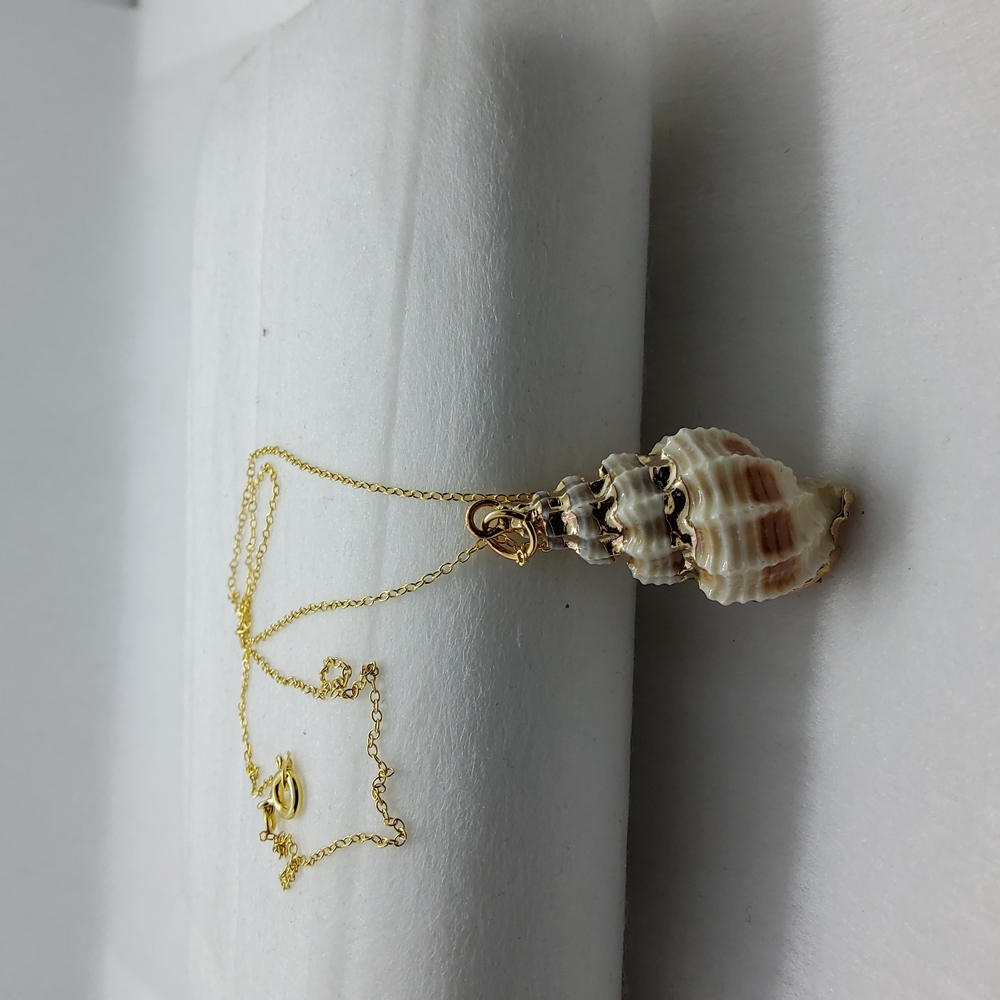 14k over 925 Italy Shell Necklace